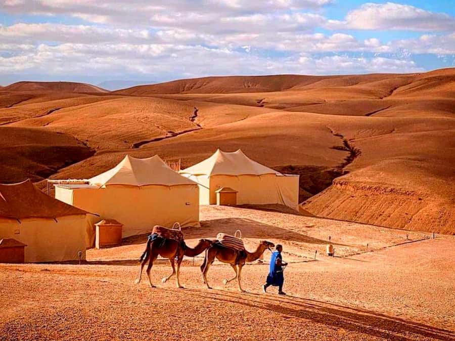 From Marrakech : Agafay Desert Sunset Dinner with Camel Ride - What the $34 price really covers