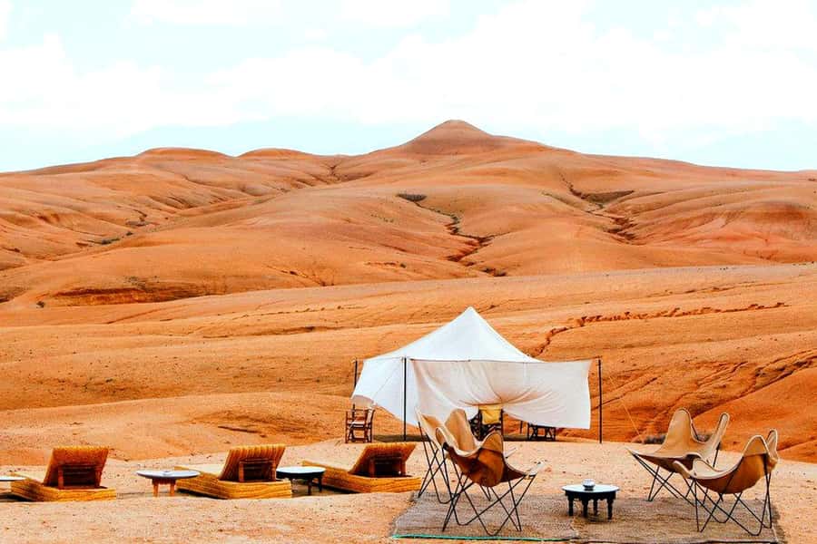 From Marrakech : Agafay Desert Sunset Dinner with Camel Ride - Timing, pickup, and practical concerns