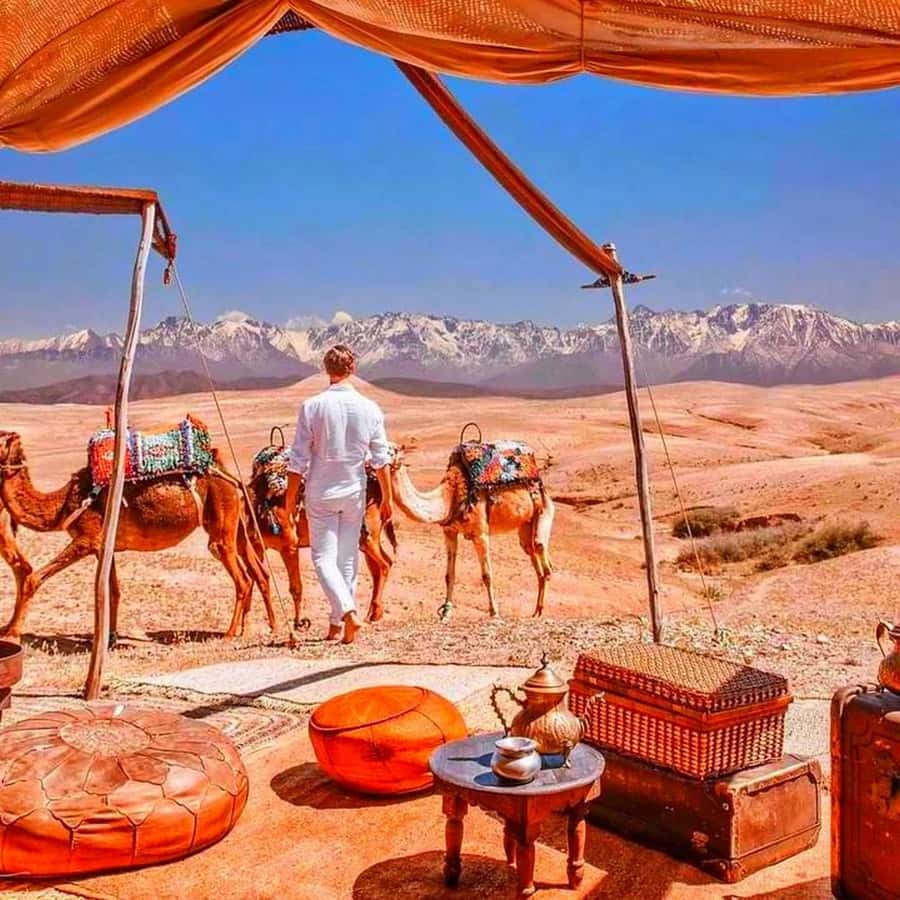 From Marrakech: Agafay Desert Sunset Dinner with Live Show - Mint tea, sunset, and the best photo window
