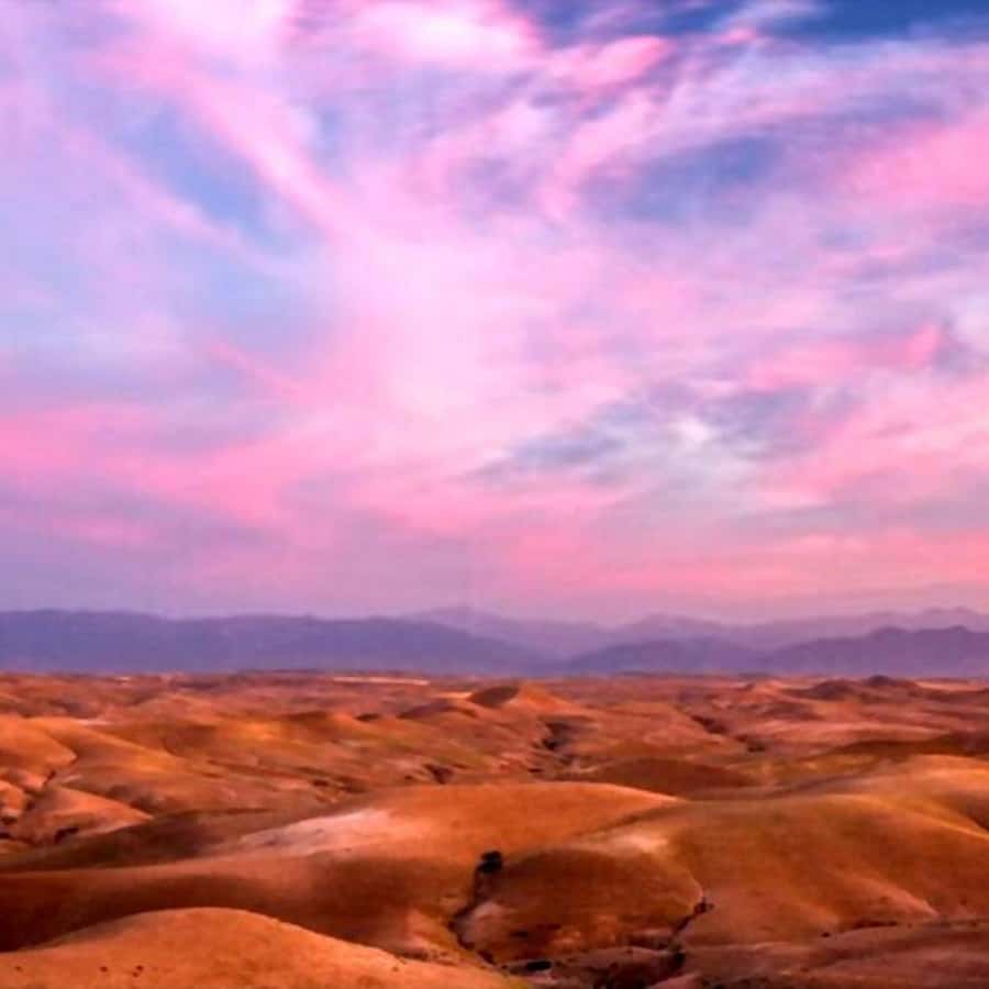 From Marrakech: Agafay Desert Sunset Dinner with Live Show - Camel rides and quad biking need clarification