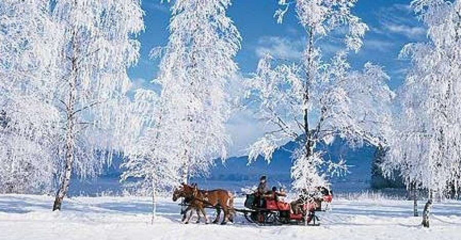 From Salzburg Romantic Carriage Ride through the Countryside - The horse-drawn ride through winter countryside