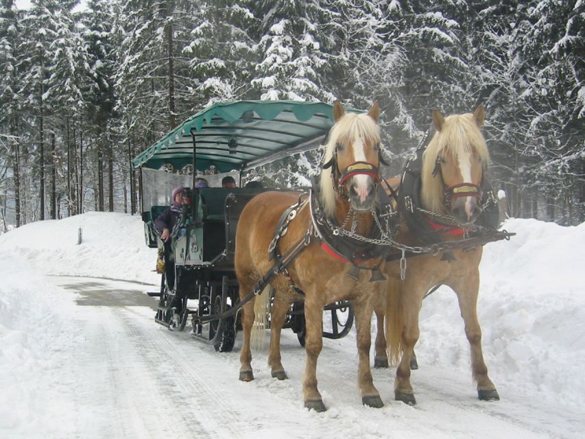 From Salzburg Romantic Carriage Ride through the Countryside - Guides who add value to the transfer