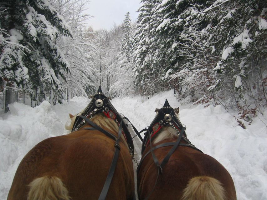 From Salzburg Romantic Carriage Ride through the Countryside - Snow, wheels, and realistic expectations