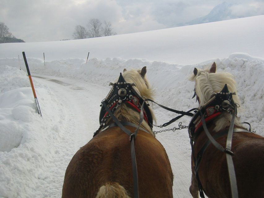 From Salzburg Romantic Carriage Ride through the Countryside - Booking advice and final verdict