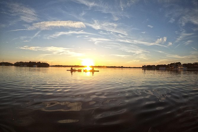 Full Day Tandem Kayak Rental For Two People In Crystal River, Florida - Wildlife along the river