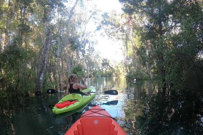 Full Day Tandem Kayak Rental For Two People In Crystal River, Florida - What the $65 price really covers