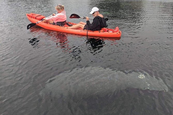 Full Day Tandem Kayak Rental For Two People In Crystal River, Florida - Why the Crescent tandem kayak matters