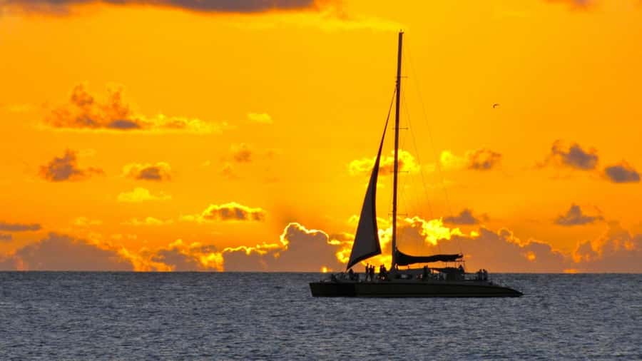 Grand Bay: Honeymoon/Lovers Sunset Tour with Romantic Dinner - A practical look at the four-hour schedule