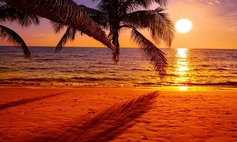 Grand Bay: Honeymoon/Lovers Sunset Tour with Romantic Dinner - Languages and communication onboard