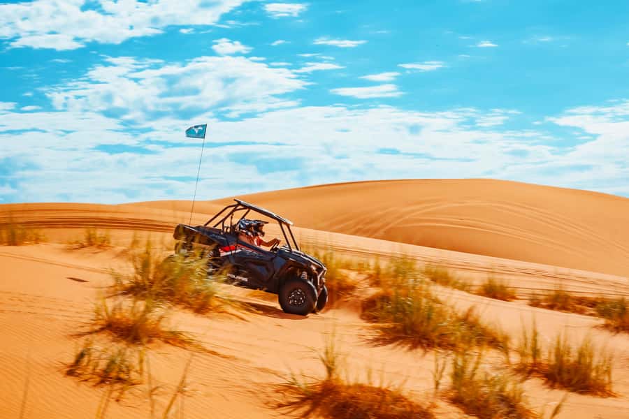 Greater Zion: Couples UTV Tour with Food - Dinosaur tracks add a surprising history stop
