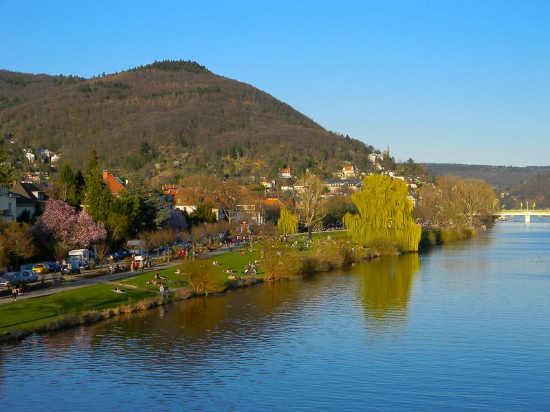 Heidelberg: City of Romance 2-Hour Walking Tour - A Practical Way to Use the Tour