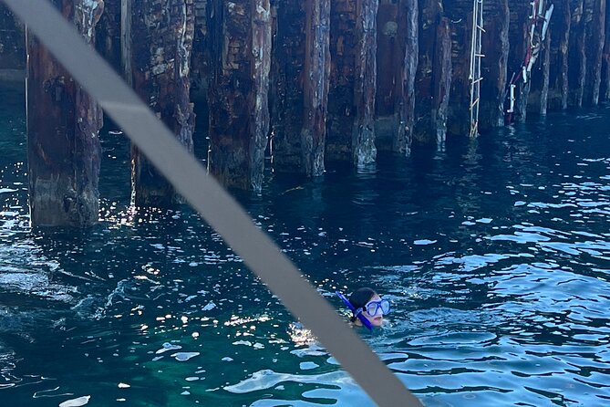 Honeymoon Harbour and The Sapona Day Trip - Timing, weather, and cancellation details