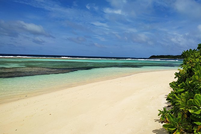 Honeymoon on Maldives - Why Rasdhoo Works for a Maldives Honeymoon