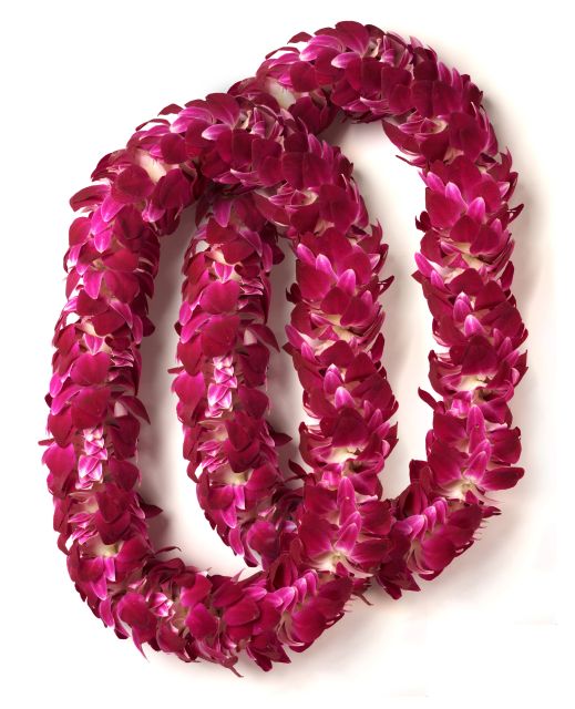 Honolulu Honeymoon Airport Lei Greeting - Photos, luggage, and what is not included