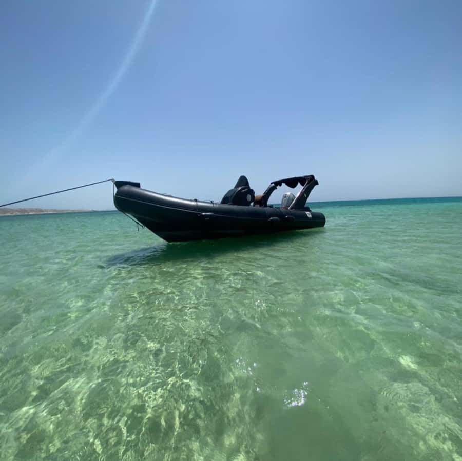 Hurghada: Private Dinner and Sunset Yacht Cruise - What the $371 price really buys