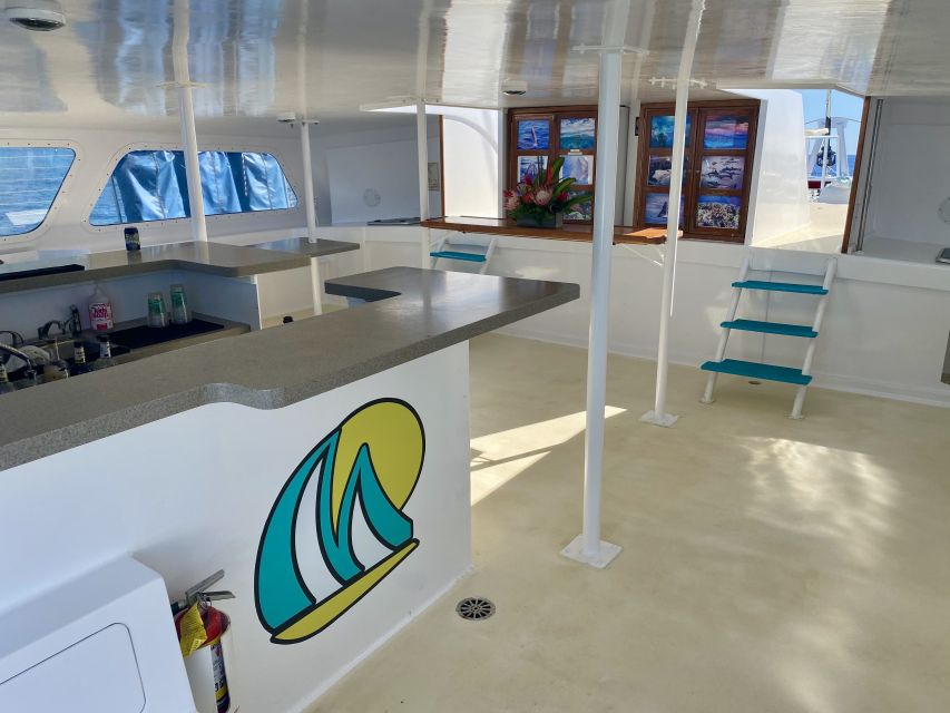 Kaanapali: Sunset Dinner Catamaran Cruise With Drinks - Should you book the Sea Maui sunset cruise?