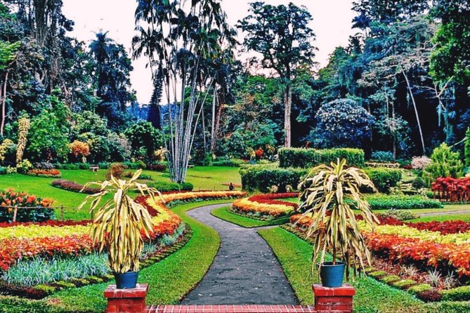 Kandy city tour for couple price - A broad Kandy introduction in half a day