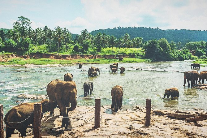 Kandy city tour for couple price - Temple of the Sacred Tooth Relic in 30 minutes