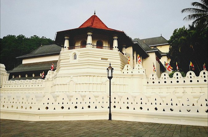 Kandy city tour for couple price - A 20-minute stop at the spice and herbal garden