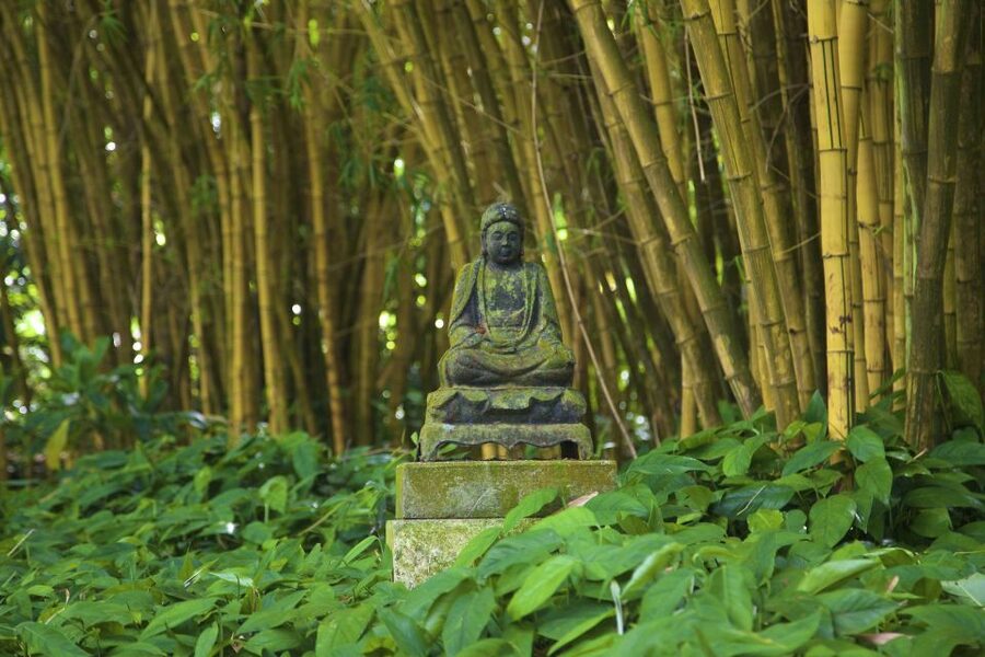 Kauai: Allerton Garden and Estate Tour with Sunset Dinner - Should you book the Allerton sunset tour?