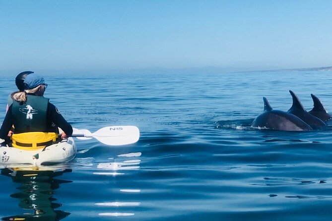 Kayak Rental for Two People in La Jolla - Who will enjoy this rental most