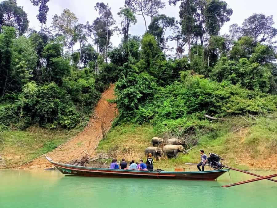 Khao Lak: Cheow Lan Lake Romantic Sunset Cruise with Drinks - Key points to know before you book