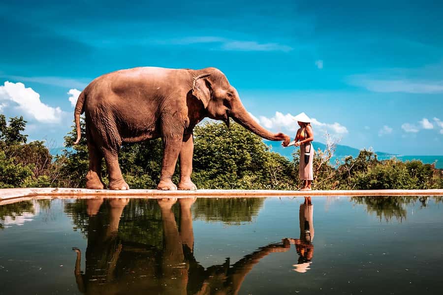 Koh Samui: Private Photoshoot for Couples & Families - Pickup from your Koh Samui hotel