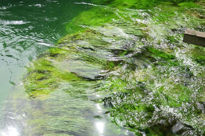 Krka waterfalls luxury tour for singles or couples - Farm lunch at Agroturizam Anin Dvor