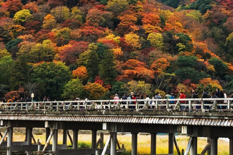 Kyoto: Arashiyama Tour with optional Sagano Romantic Train - Key points to know before you book