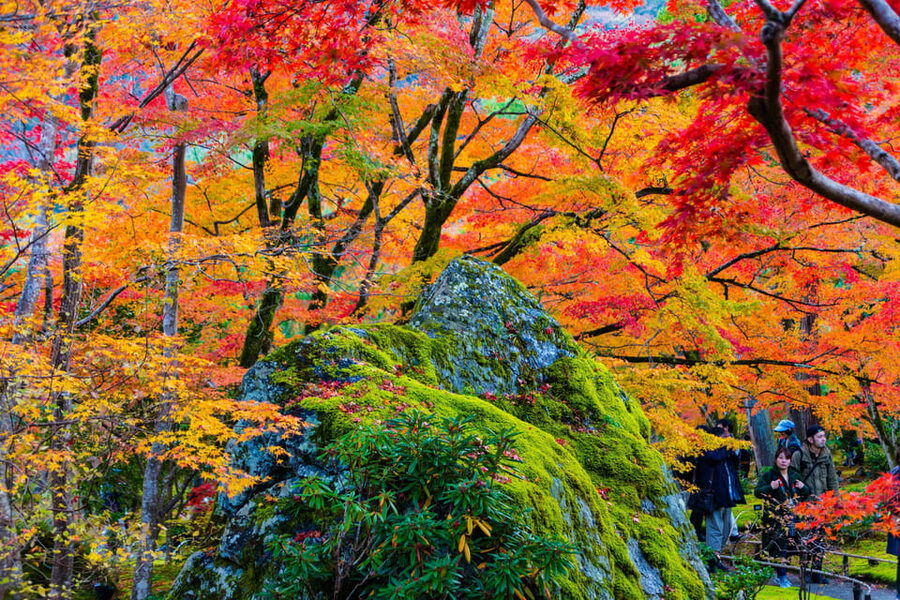 Kyoto: Arashiyama Tour with optional Sagano Romantic Train - Mikami Shrine and a different side of Japanese belief