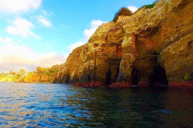 La Jolla Sea Caves Kayak Tour For Two (Tandem Kayak) - Key points to know before you book
