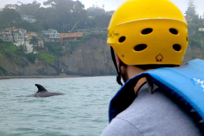 La Jolla Sea Caves Kayak Tour For Two (Tandem Kayak) - The short lesson before you reach the surf