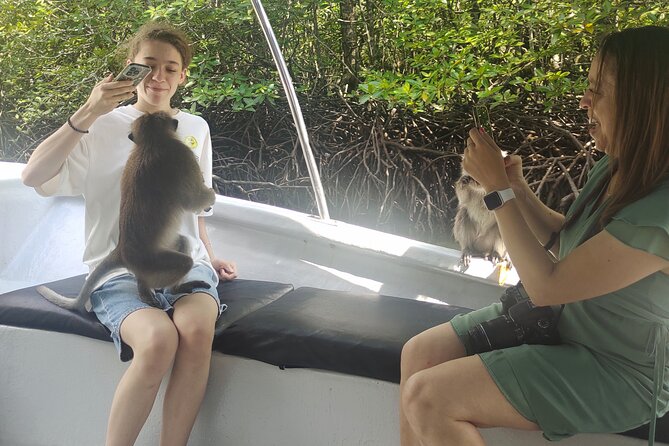 Langkawi Highlights Day Tour - ATV, Mangrove Cruise & Cable Car - Cable car views with express entry