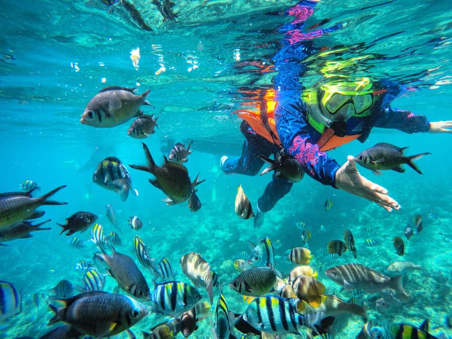 Lombok: Romantic Island Escape—Gili Nanggu, Sudak & Kedis - Gili Nanggu, the first snorkeling stop