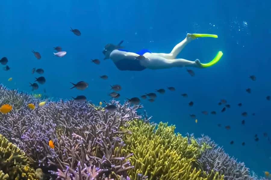 Lombok: Romantic Island Escape—Gili Nanggu, Sudak & Kedis - Gili Sudak, lunch, and a slower beach break