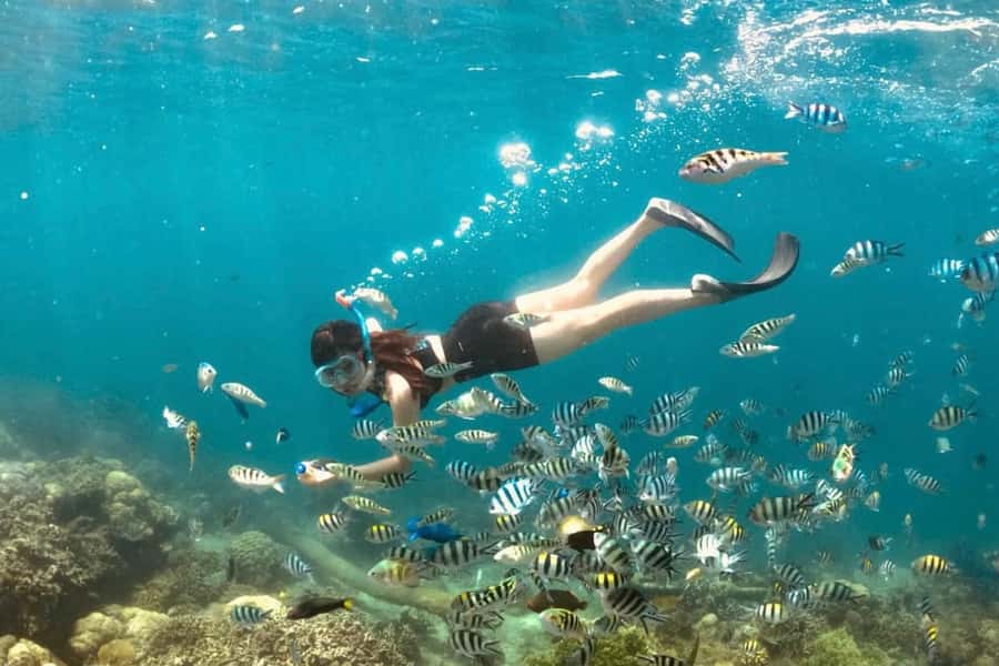 Lombok: Romantic Island Escape—Gili Nanggu, Sudak & Kedis - Is $62 good value for this tour?