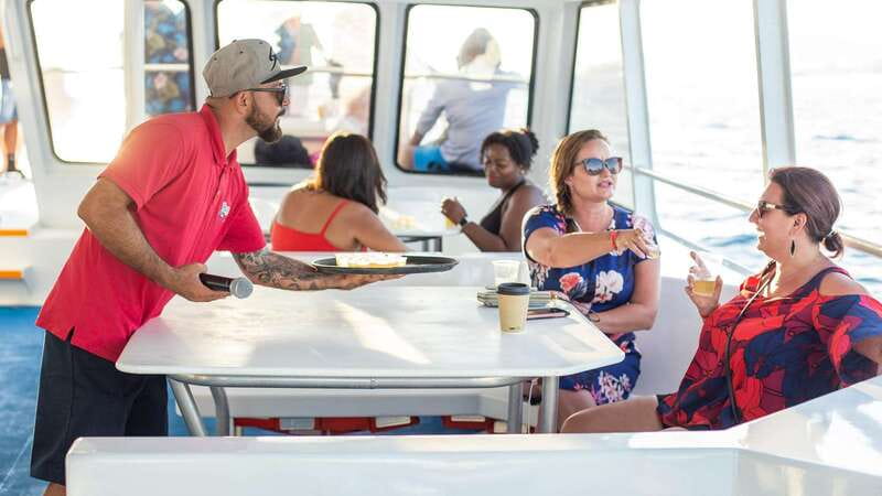Los Cabos: Sunset Dinner Cruise with Transportation - Winter whales and seasonal timing
