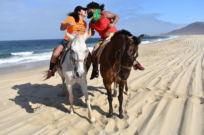 Love is in the air: Private Cabo Beach Sunset Horse Ride W Dinner - From Cabo’s roads to the Migrino desert
