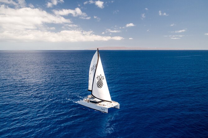Luxury Catamaran Royal Sunset Dinner Sail (Adults-Only) - Key points to know before booking