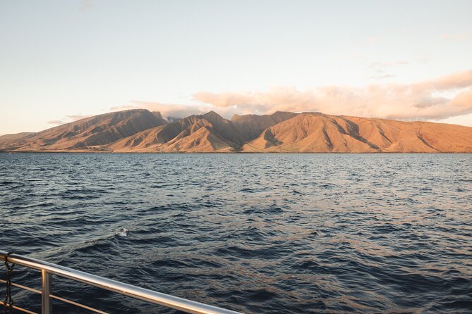Luxury Catamaran Royal Sunset Dinner Sail (Adults-Only) - The five-course dinner and your entree choice