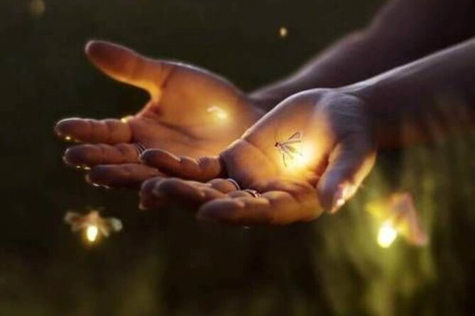 Magical Village Tour & Private Dinner with Fireflies in Bali - A local home and a closer look at Balinese customs