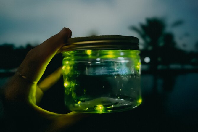 Magical Village Tour & Private Dinner with Fireflies in Bali - What makes this private format worthwhile