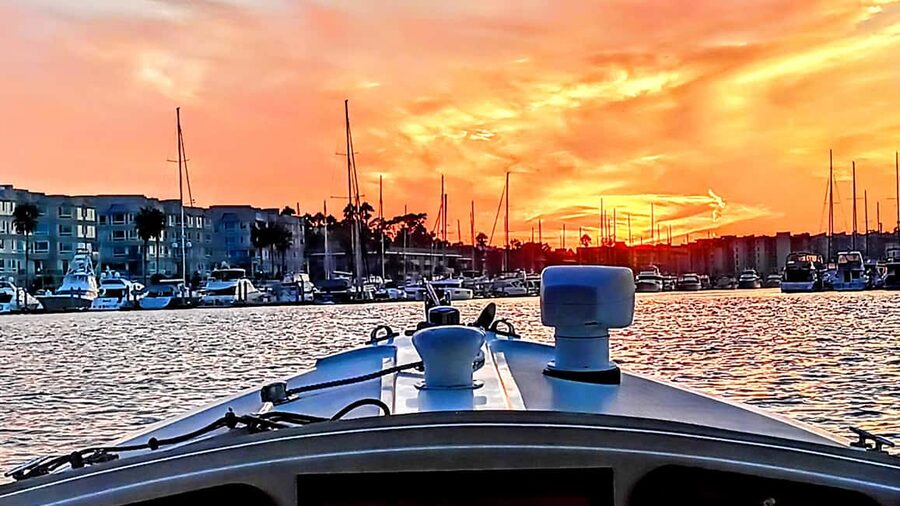 Marina Del Rey: Romantic Cruise, Dinner Charcuterie or Sushi - Sea lions, dolphins, and the marina views