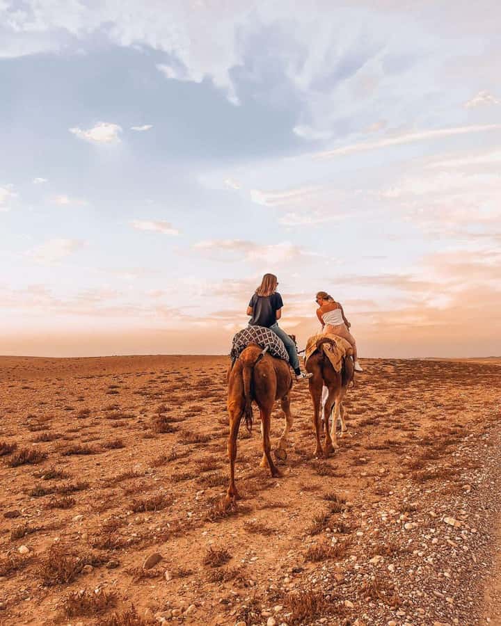 Marrakech: Agafay Desert Escape with Quad or Camel Ride - Is the $29 price good value?