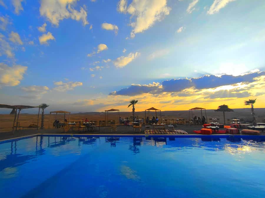 Marrakech: Agafay Desert Sunset Dinner with Show &Camelr ide - The argan oil cooperative stop