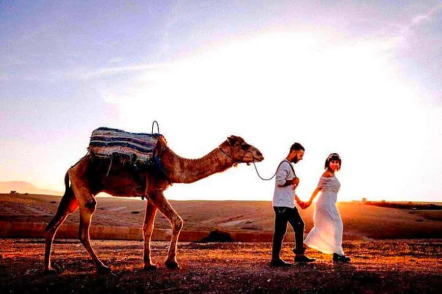 Marrakech: Agafay Desert Sunset Dinner with Show &Camelr ide - What $45 buys you