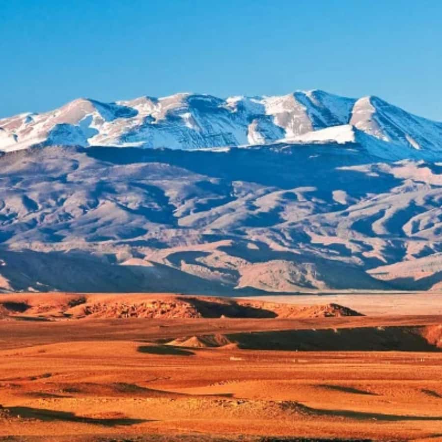 Marrakech: Camel Ride & Sunset Dinner with Fire Show - Weather is the main factor to consider