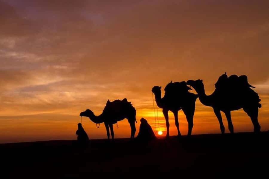 Marrakech: Sunset Dinner in Agafay Desert with Camel Ride - Music, dancing, and the fire show