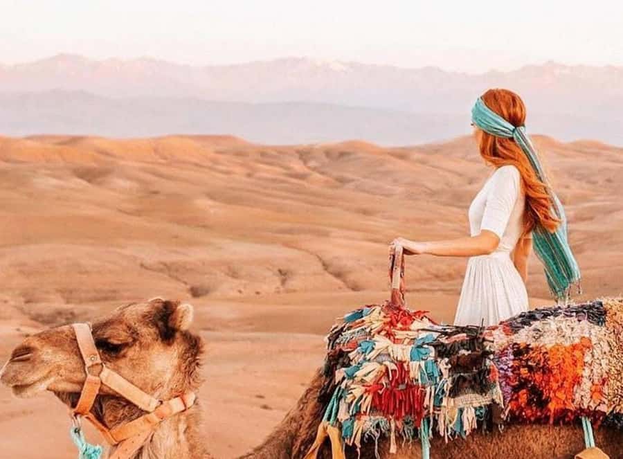 Marrakech: Sunset Dinner in Agafay Desert with Camel Ride - The argan oil cooperative stop