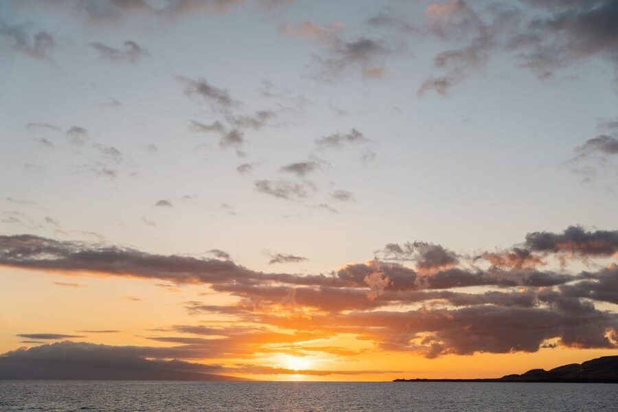 Maui: Luxury Catamaran Alii Kai Royal Sunset Dinner Cruise - Premium drinks are part of the evening